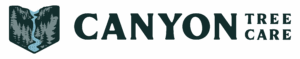 Canyon Tree Care
