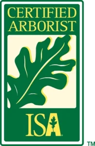ISA Member