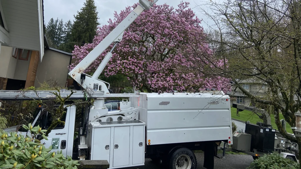 Tree Pruning